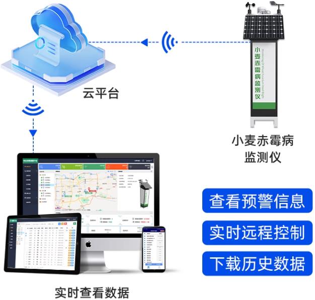 ‌小麦赤霉病监测仪系统框架图