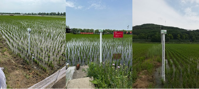 4ba3d987d572e1bcb02a4885f2235db9.png image.png